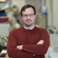 Dr. Kenneth Olive